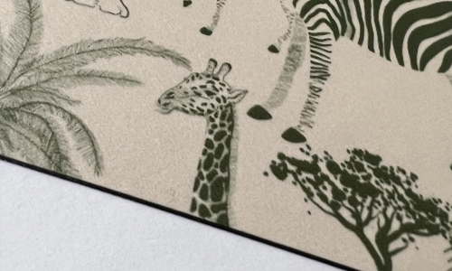 Stampa Effetto Opacizzato - Immagine 4