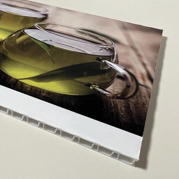  Stampa su Green Vision