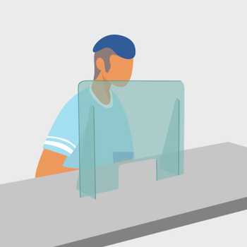  mySHiELD - Schermo protettivo parafiato 80x66 cm